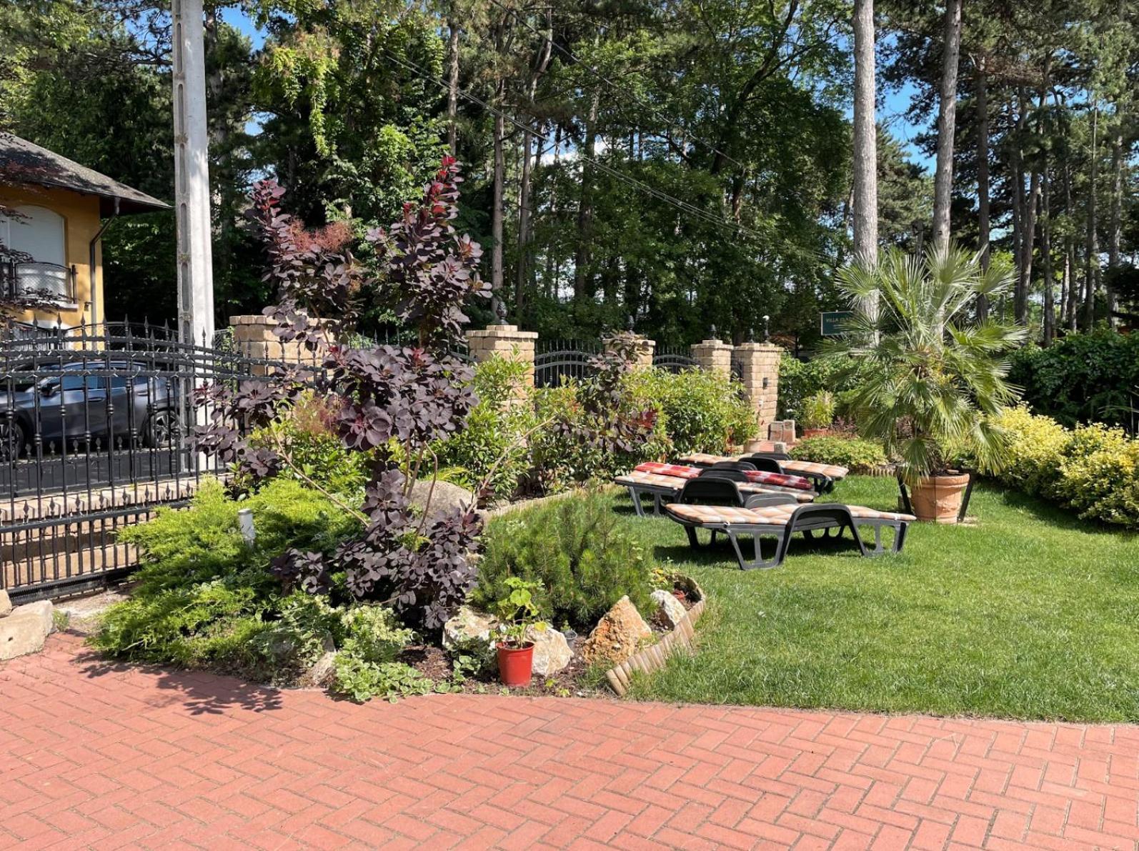 Homestay Kati P Vendeghaz