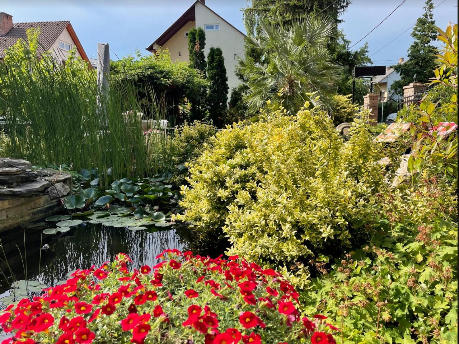 Homestay Kati P Vendeghaz Siofok